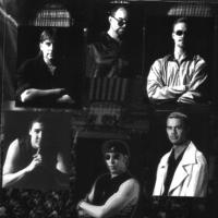 The players