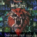 Mike Tramp - and his own edition of White Lion, rocking indeed!